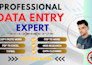 do excel data entry, web research, data cleaning and PDF to excel